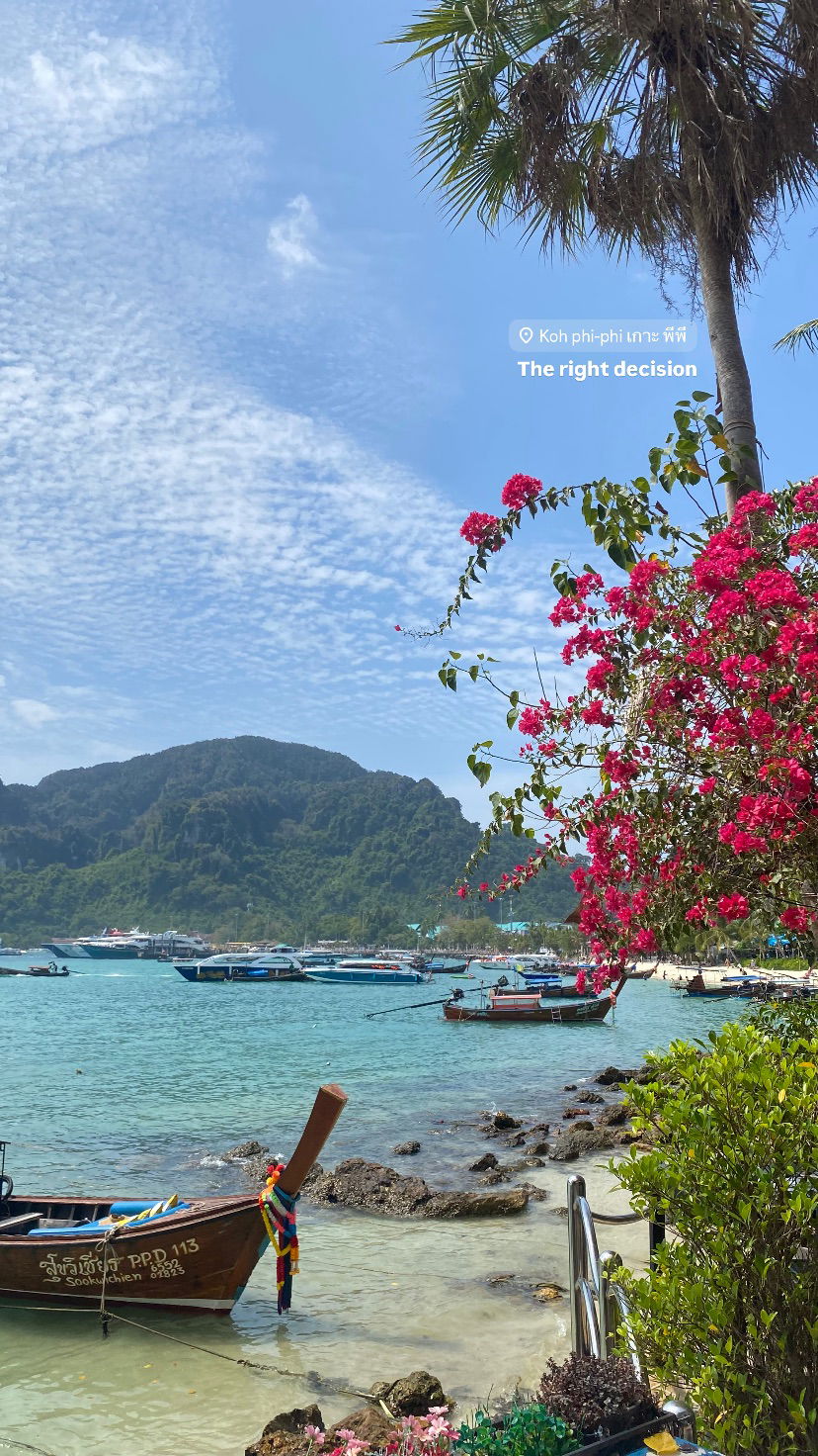 yam_adler instagram image archive image