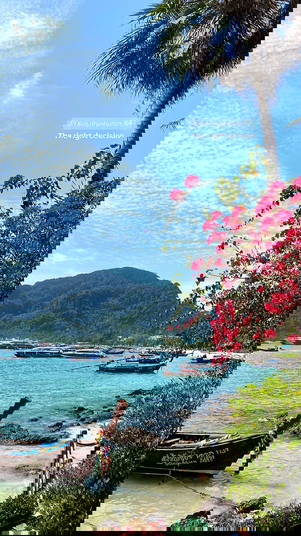 yam_adler image ~ Altpins