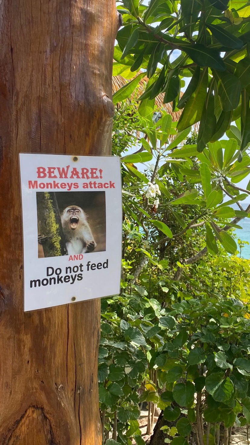 yam_adler instagram image archive image