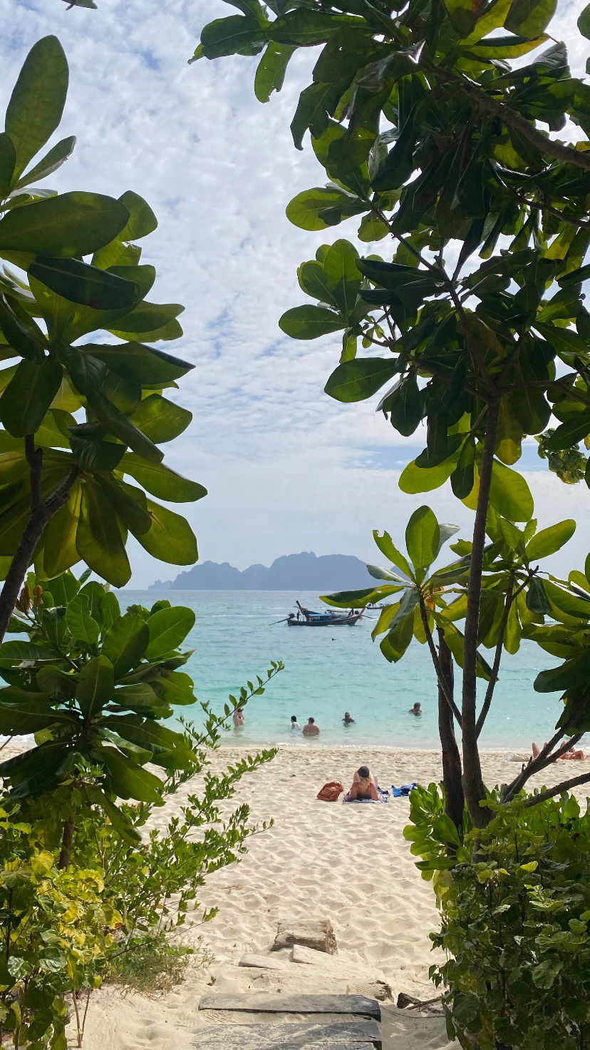 yam_adler instagram image archive image