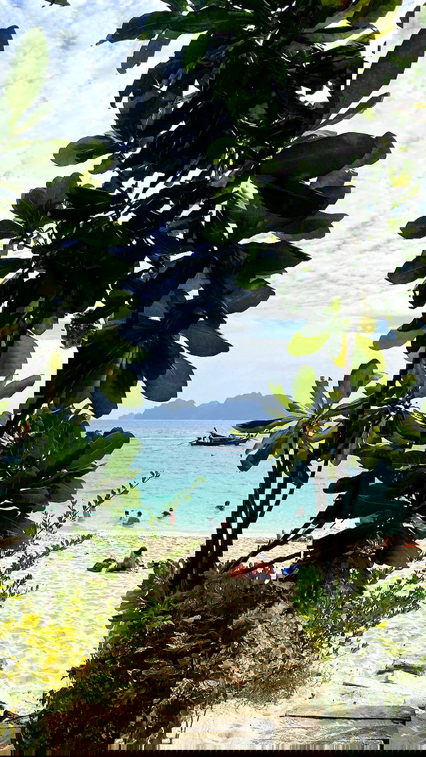 yam_adler image ~ Altpins