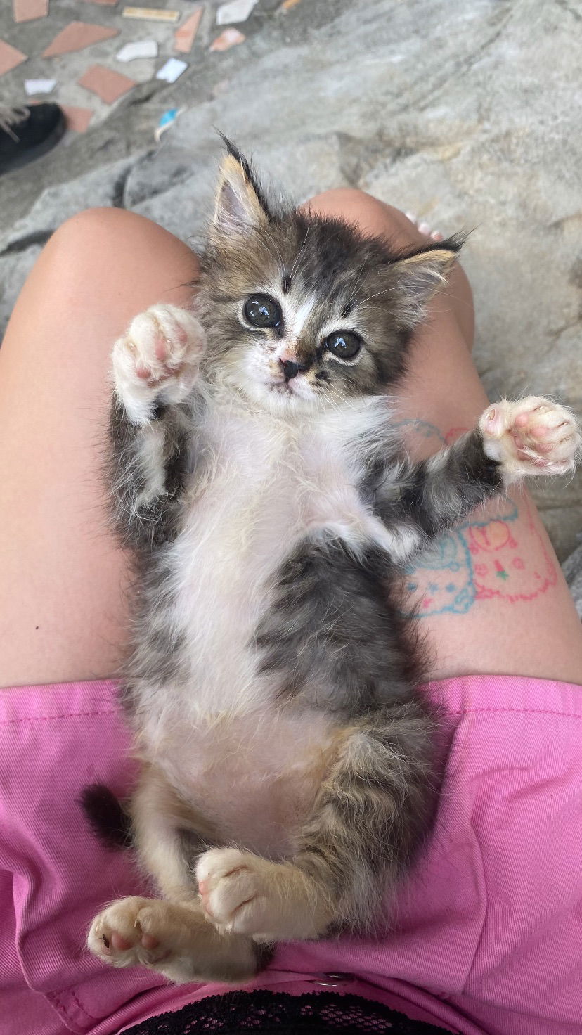 yam_adler instagram image archive image