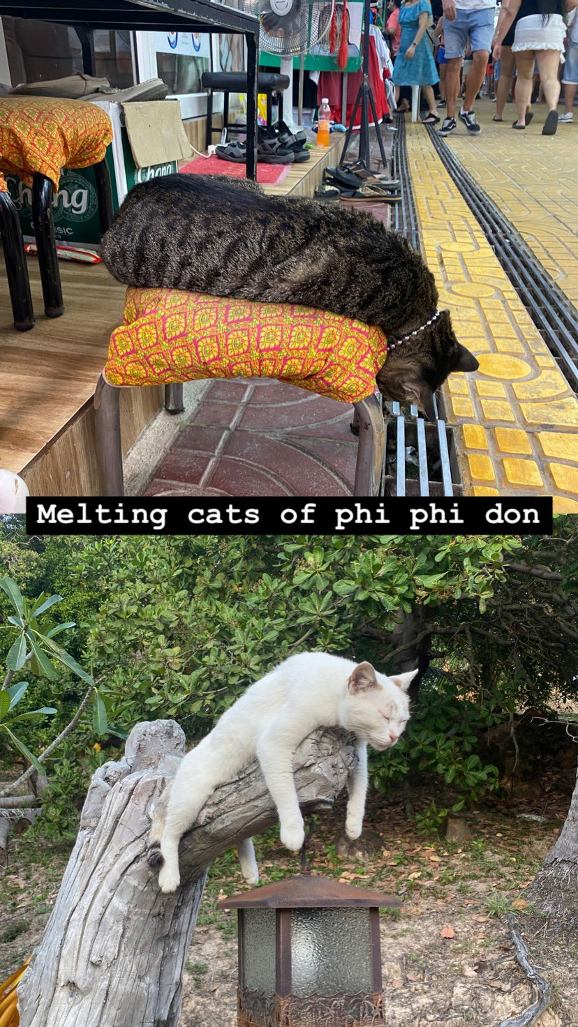 yam_adler instagram image archive image