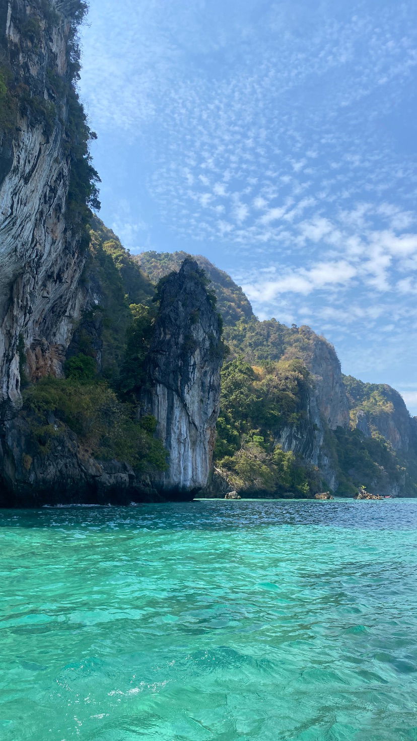 yam_adler instagram image archive image