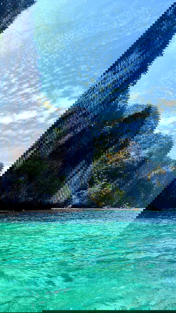 yam_adler image ~ Altpins