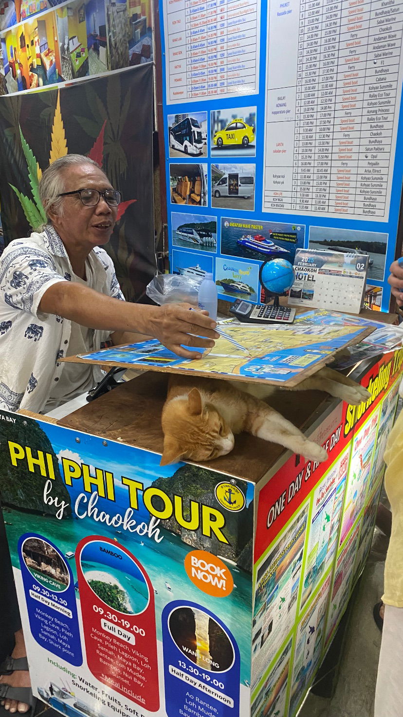 yam_adler instagram image archive image