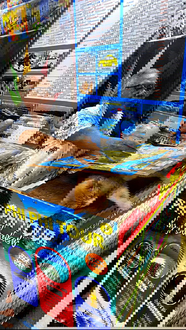 yam_adler image ~ Altpins