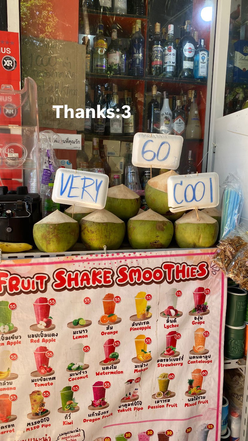 yam_adler instagram image archive image