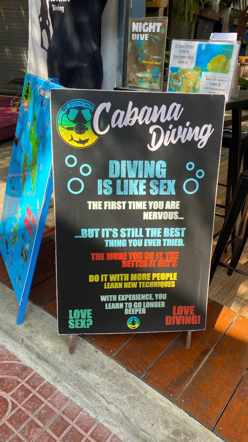 yam_adler instagram image archive image