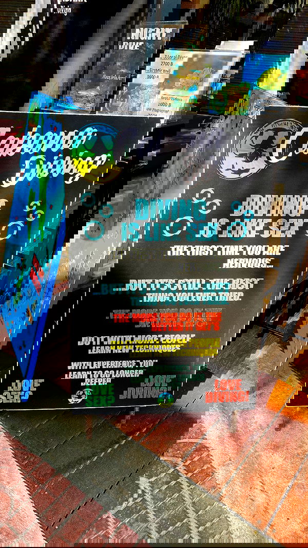 yam_adler image ~ Altpins