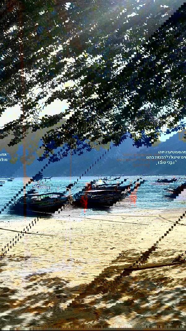 yam_adler image ~ Altpins