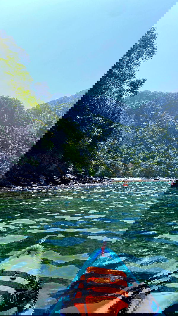 yam_adler image ~ Altpins