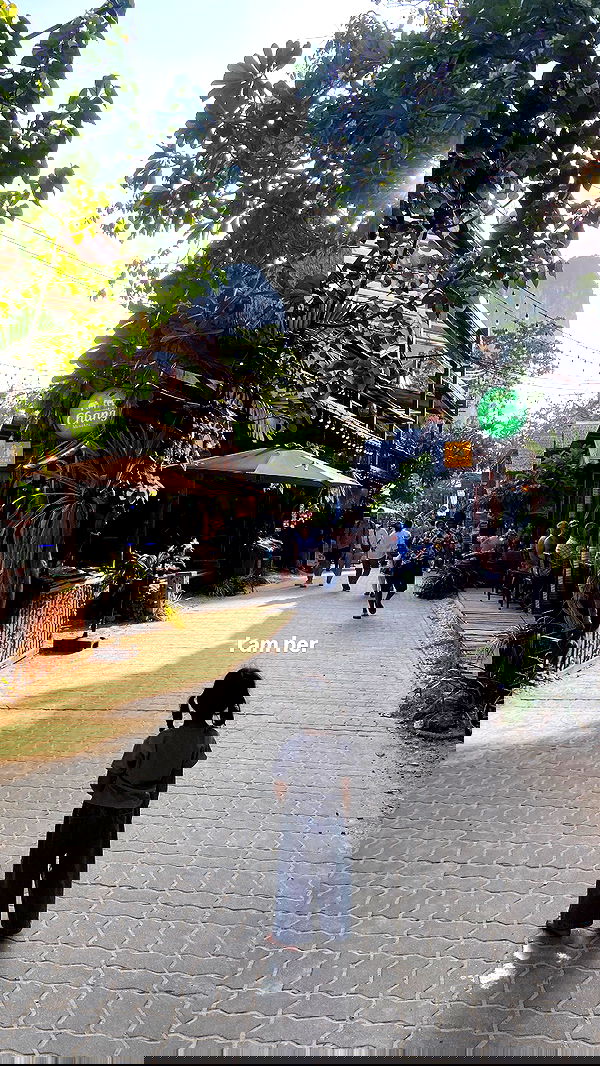 yam_adler image ~ Altpins