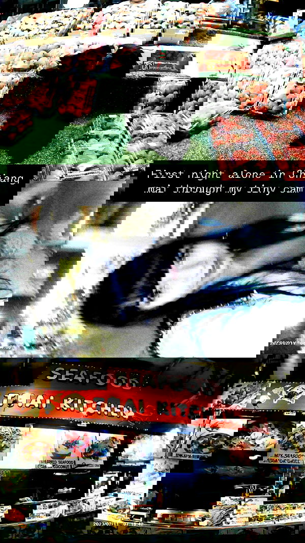 yam_adler image ~ Altpins