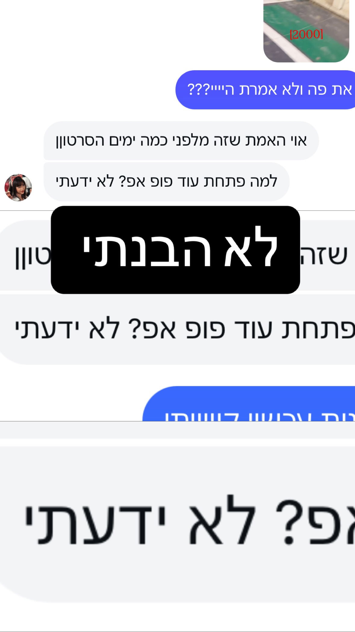 yam_adler instagram image archive image