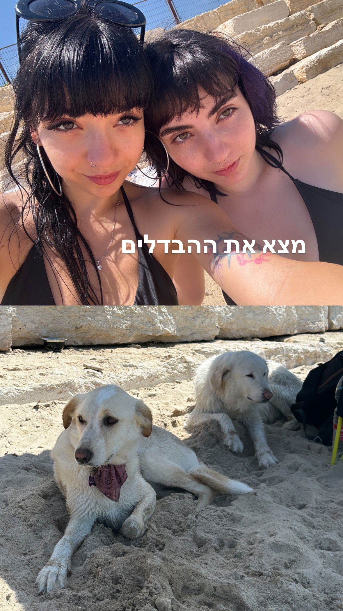 yam_adler instagram image archive image