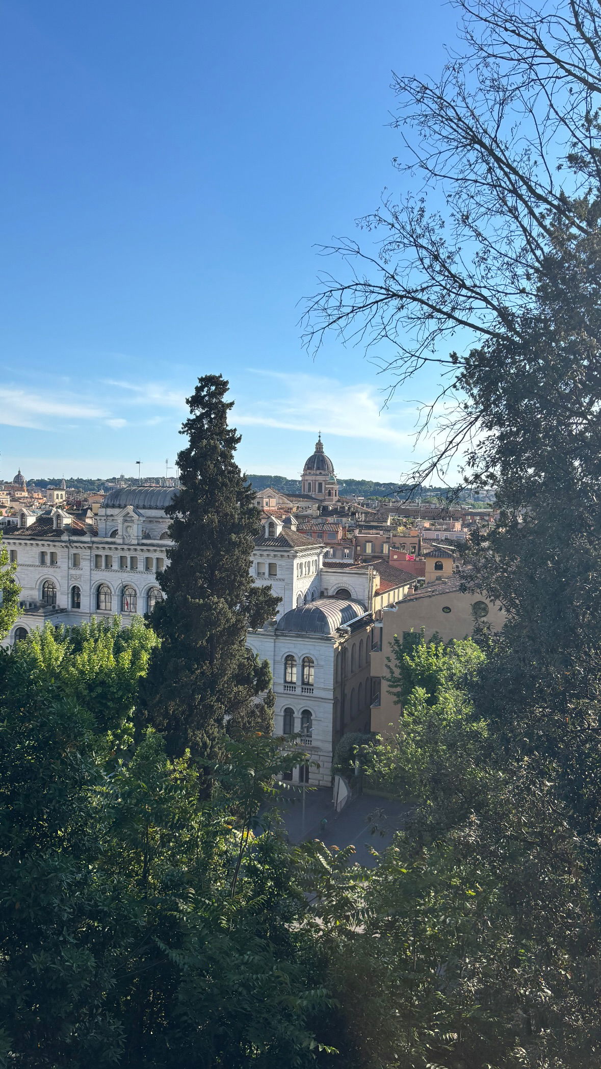 yam_adler instagram image archive image