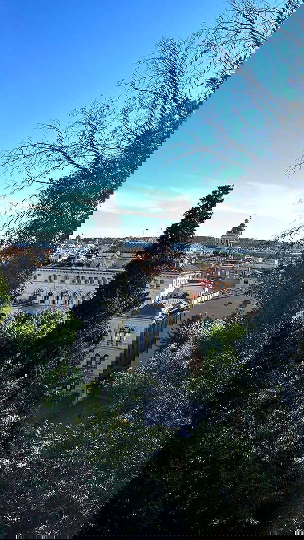 yam_adler image ~ Altpins