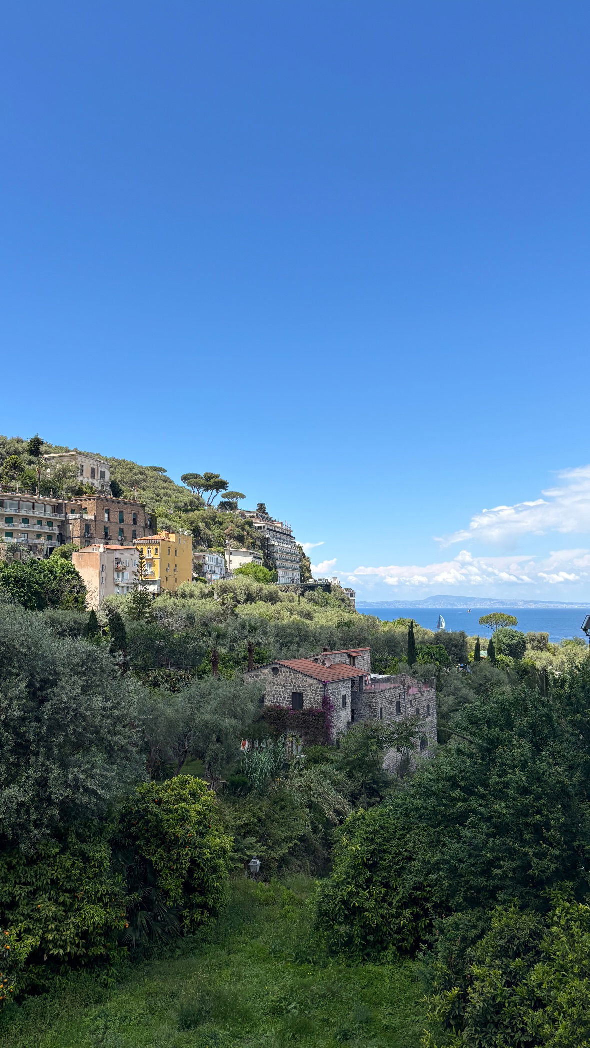 yam_adler instagram image archive image