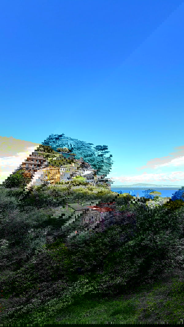 yam_adler image ~ Altpins