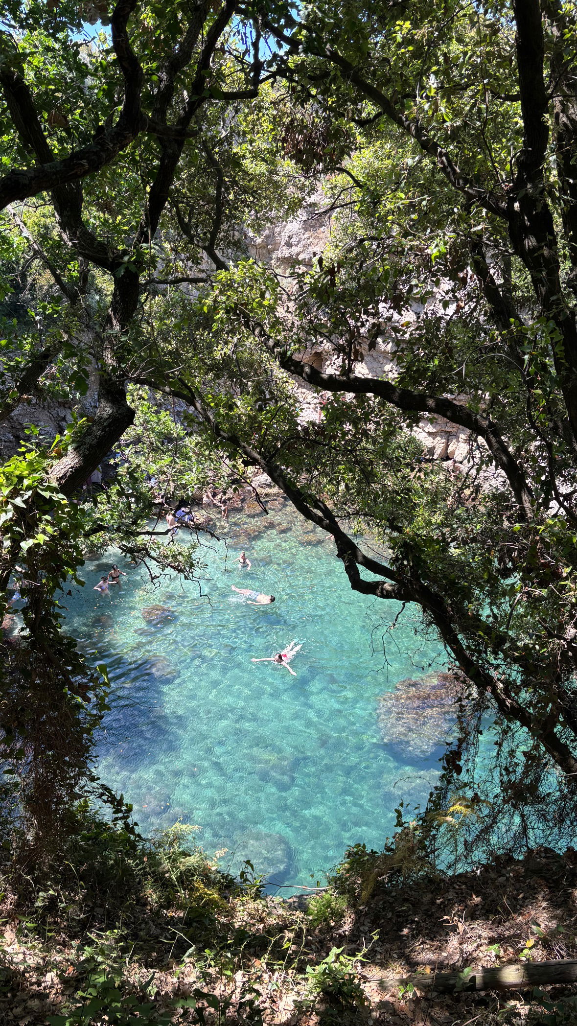 yam_adler instagram image archive image