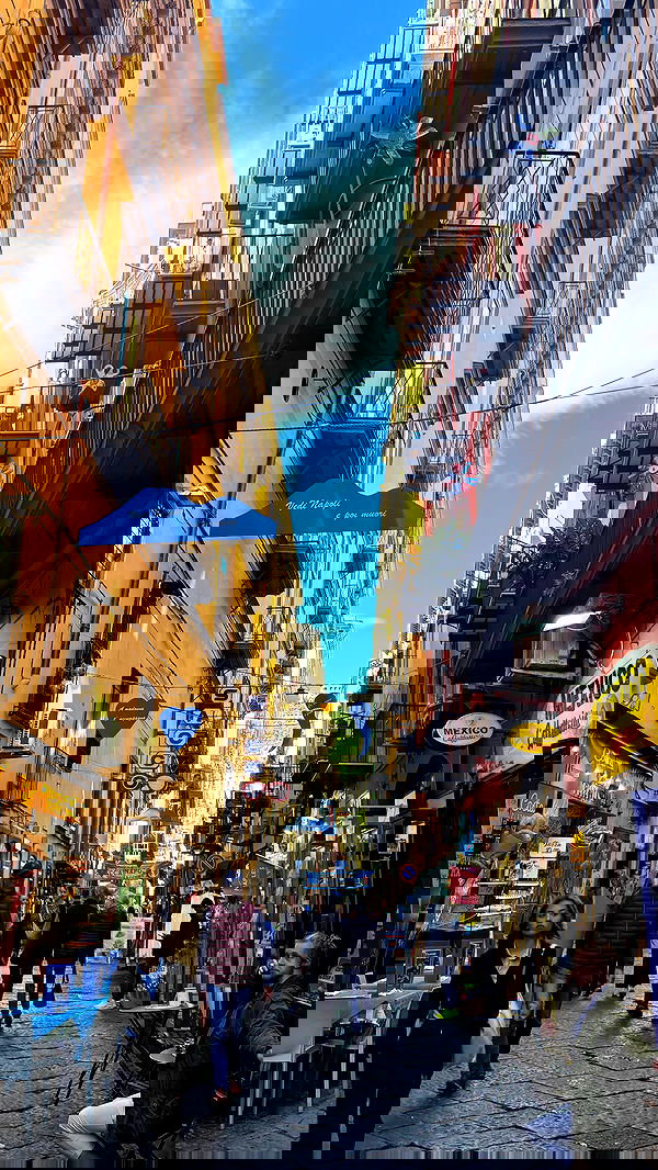 yam_adler image ~ Altpins