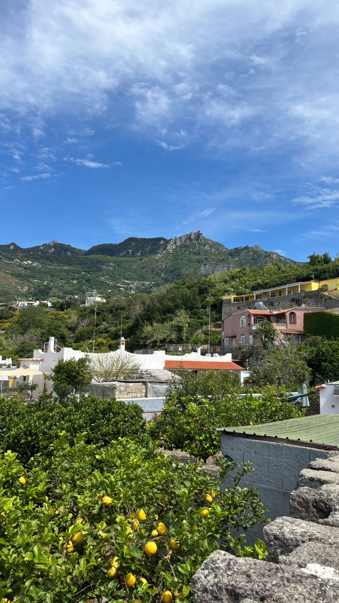 yam_adler instagram image archive image