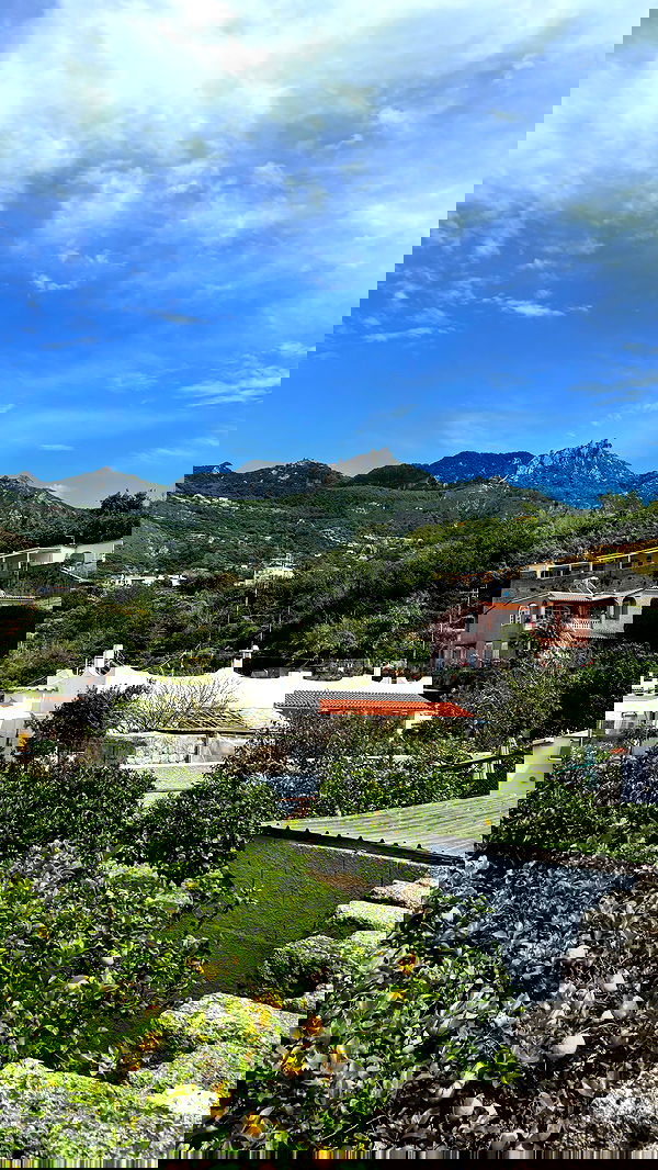 yam_adler image ~ Altpins