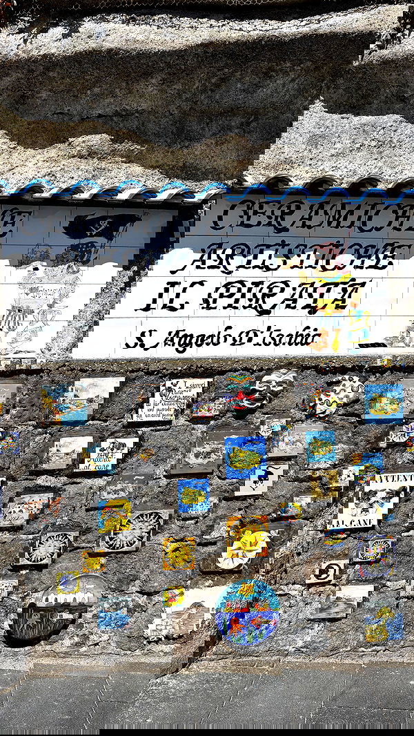 yam_adler image ~ Altpins