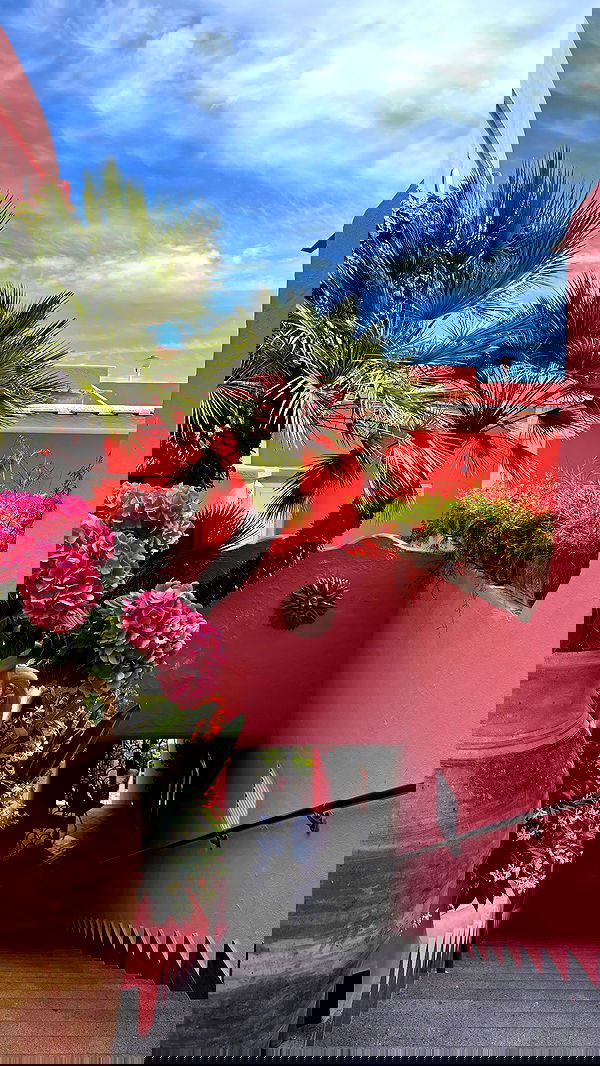 yam_adler image ~ Altpins