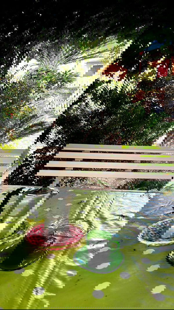 yam_adler image ~ Altpins