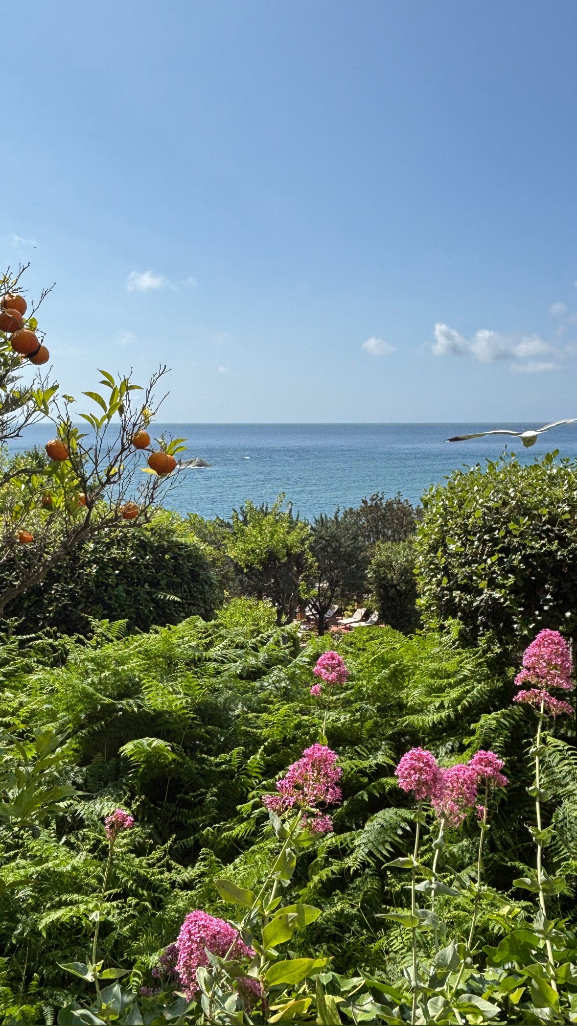 yam_adler instagram image archive image