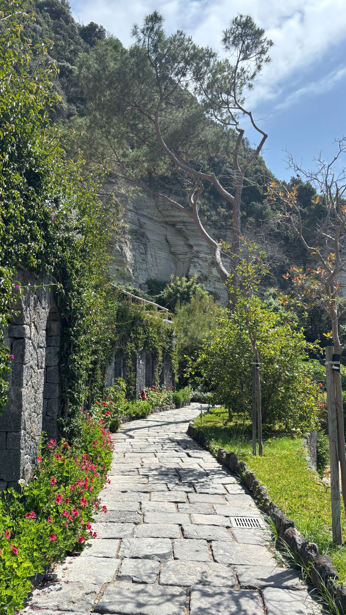 yam_adler instagram image archive image