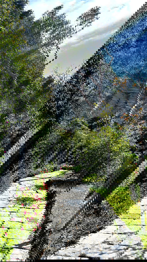 yam_adler image ~ Altpins