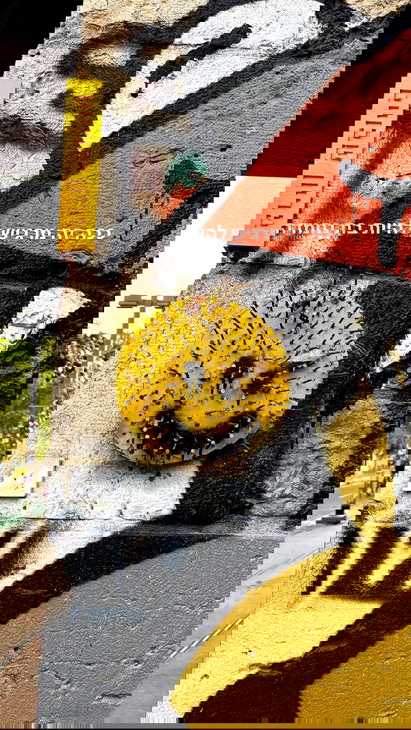 yam_adler image ~ Altpins