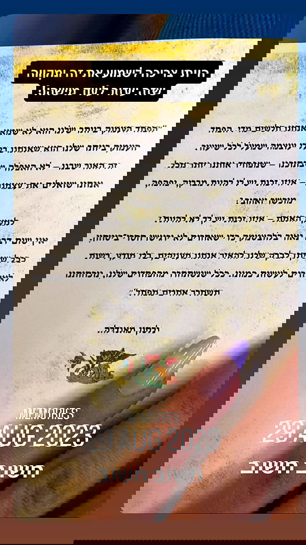 yam_adler image ~ Altpins