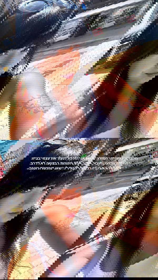 yam_adler image ~ Altpins