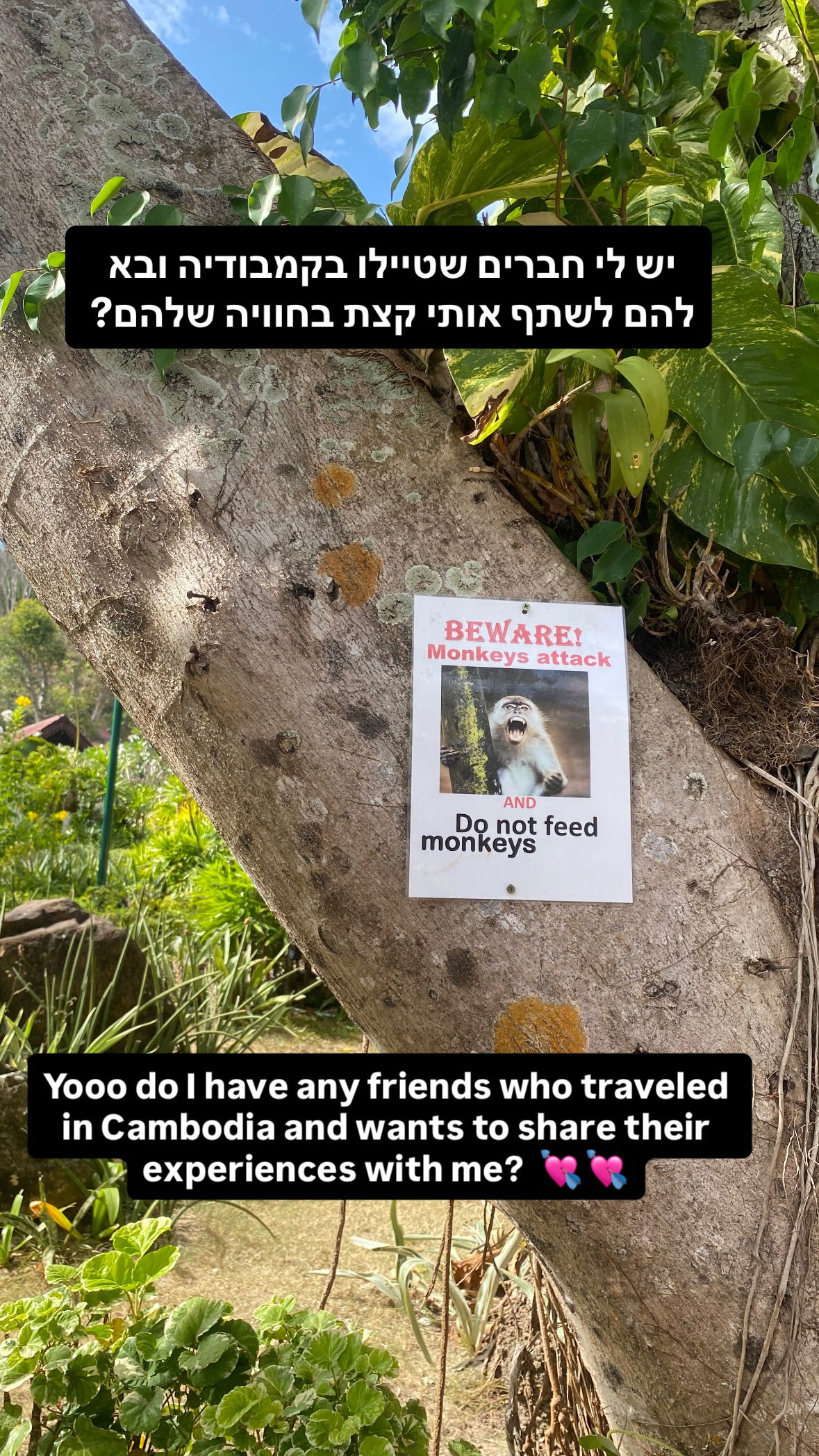 yam_adler instagram image archive image