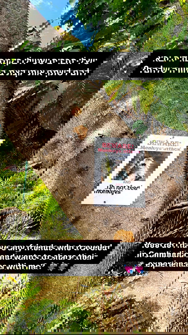 yam_adler image ~ Altpins