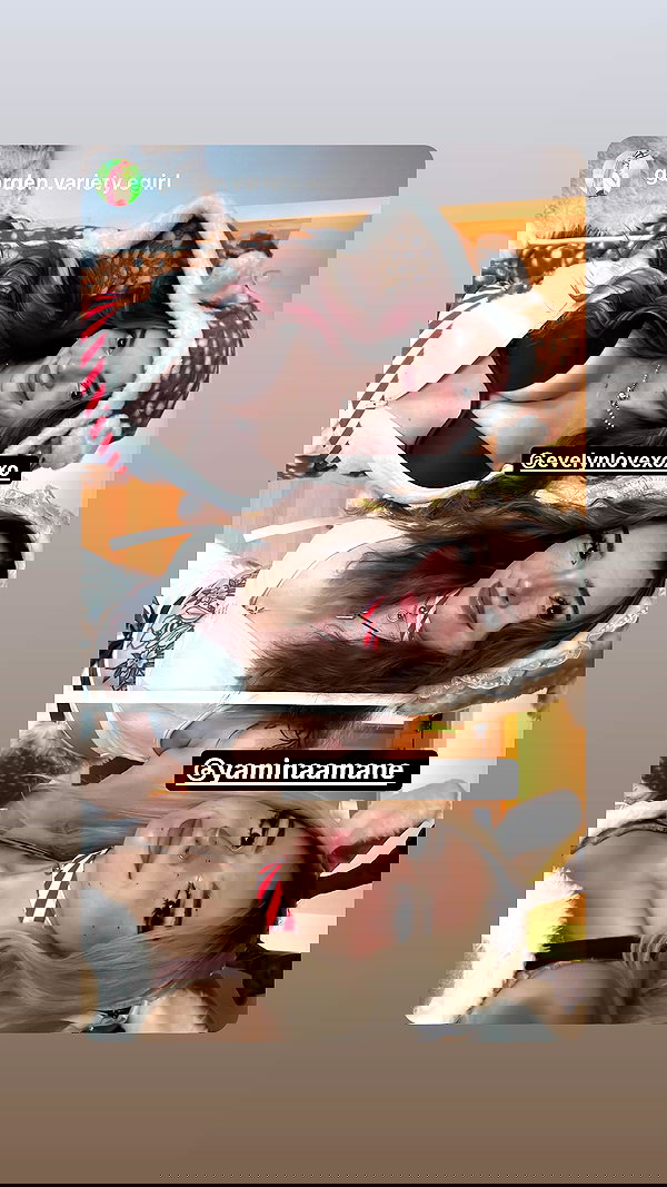 yaminaamane yaminaamane archive image