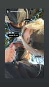 yaminaamane Altpins Profile Picture