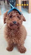 yana_esa Altpins Profile Picture