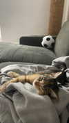 yanna_ship Altpins Profile Picture