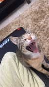 yanna_ship Altpins Profile Picture