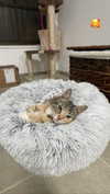 yanna_ship Altpins Profile Picture