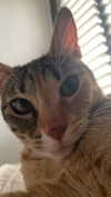 yanna_ship Altpins Profile Picture