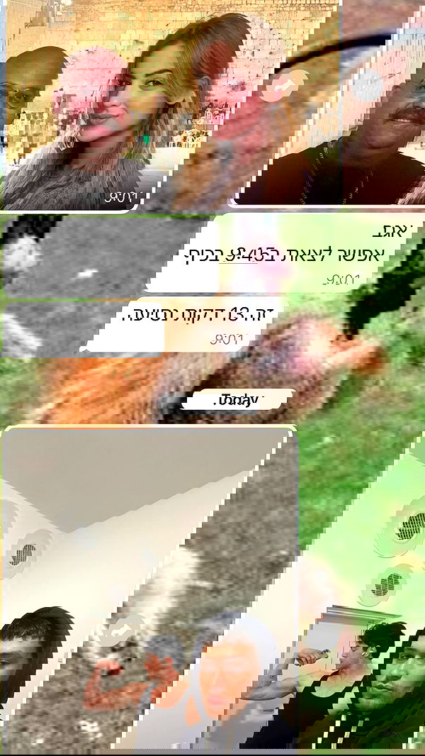 yannaidebeer yannaidebeer archive image