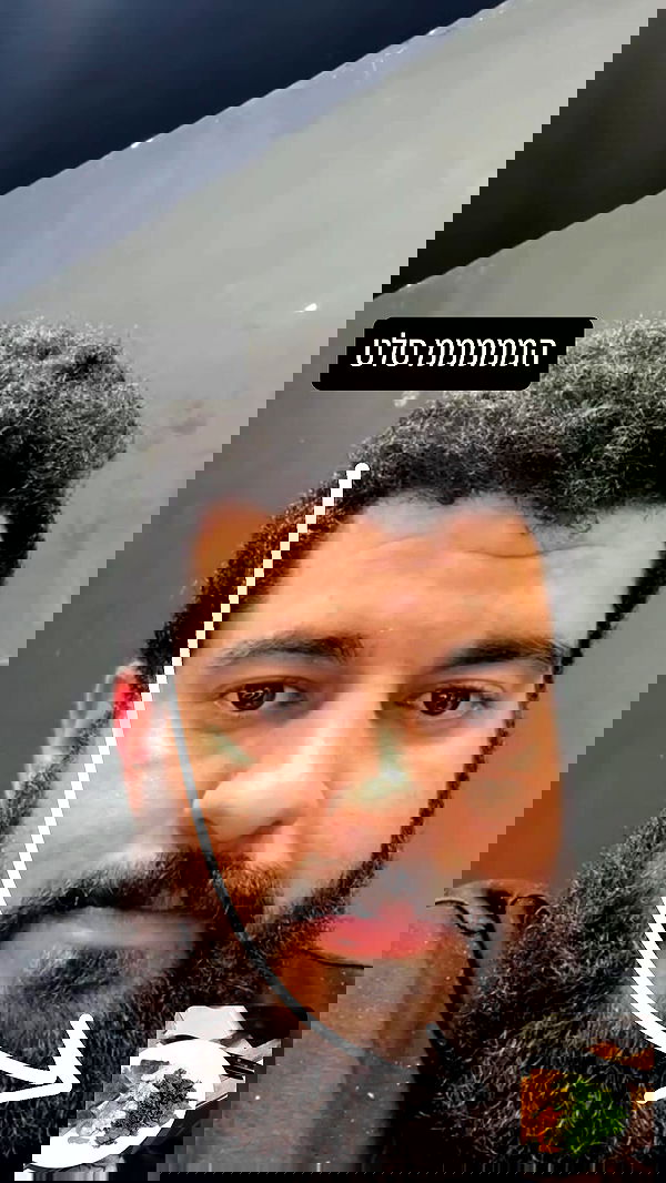 yannaidebeer yannaidebeer archive image