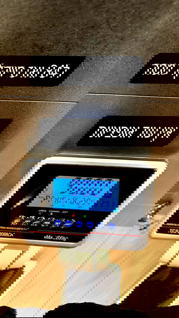 yannaidebeer yannaidebeer archive image