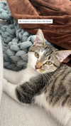yazgolden Altpins Profile Picture
